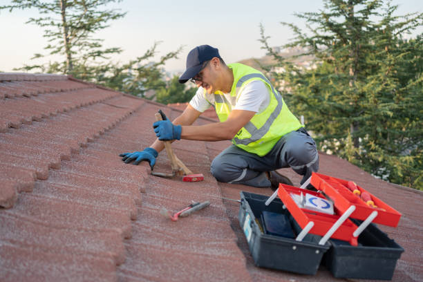 Roof Gutter Cleaning in Montpelier, ID